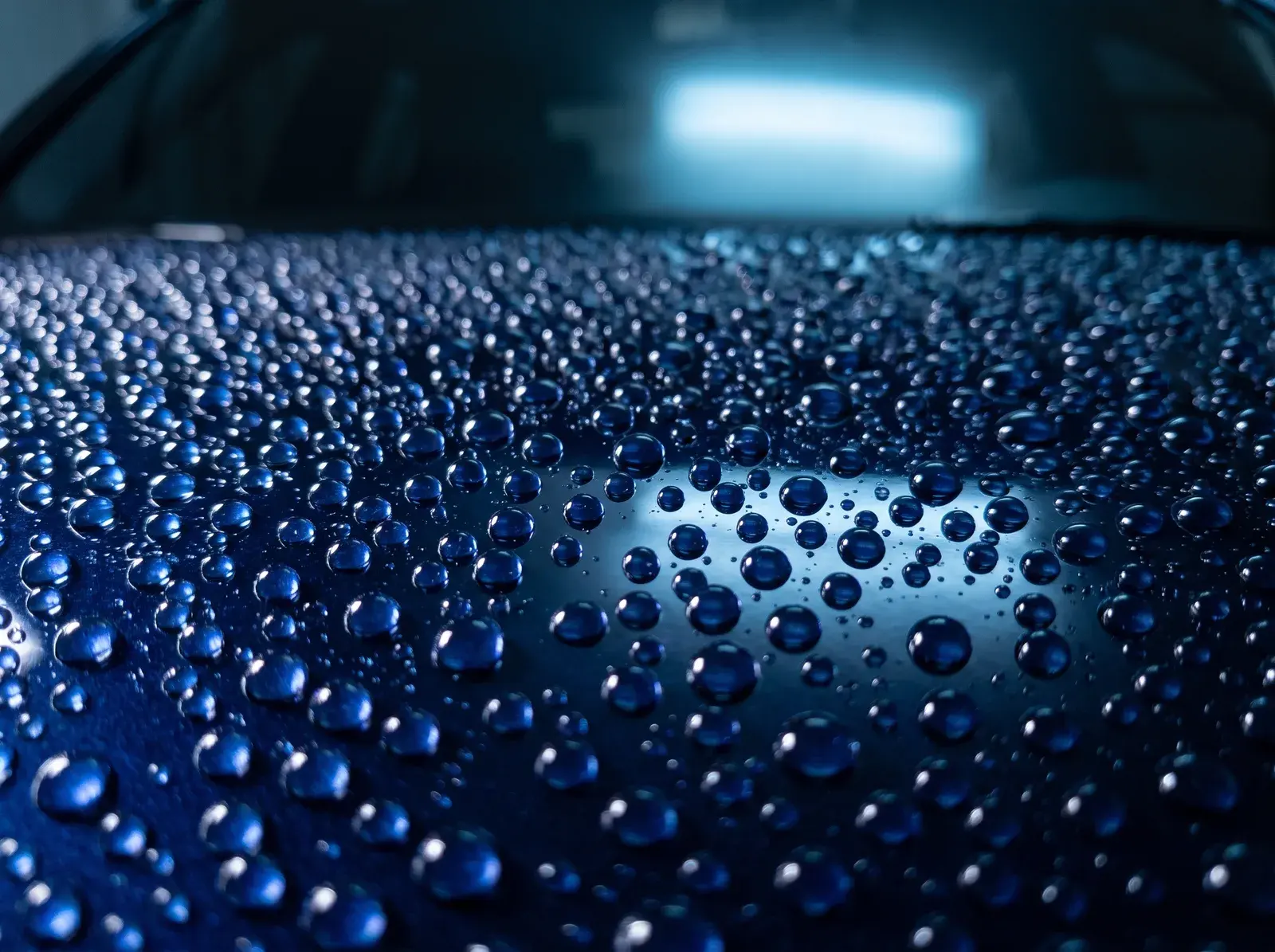 Water beading on freshly ceramic coated midnight blue car paint by Auto Perfection Services St. Louis